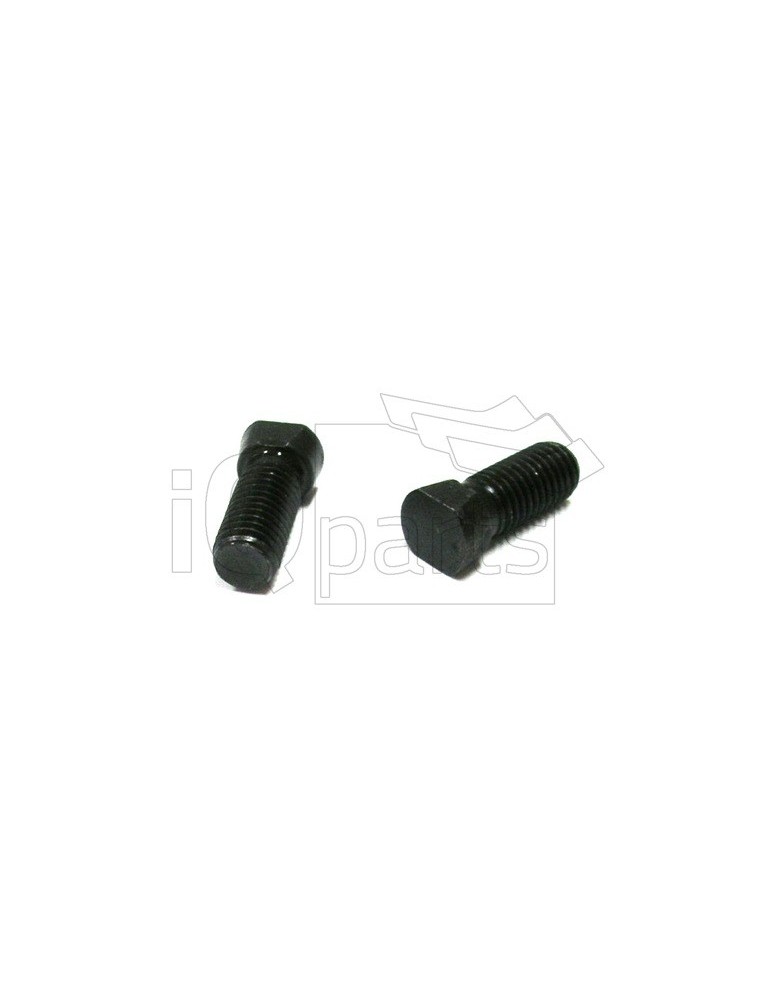 Screw G-1234 M-12 x 34