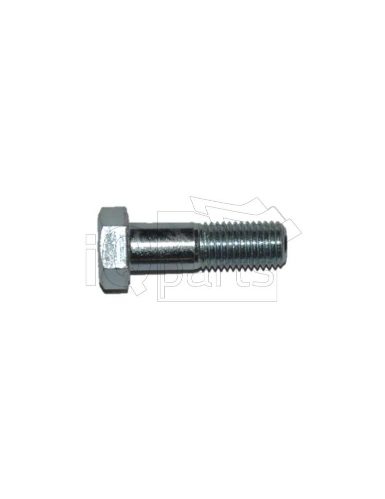 Screw SKT-SCHRAUBE M20X65-10.9 VZ (523824)