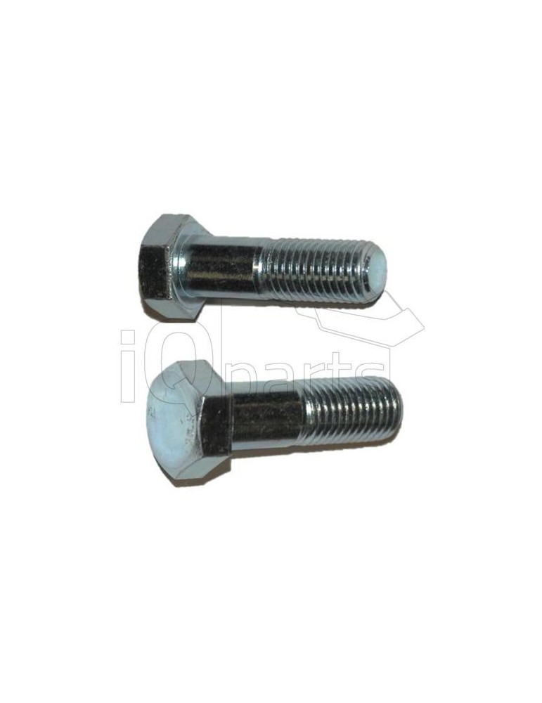 Screw SKT-SCHRAUBE M20X65-10.9 VZ (523824)