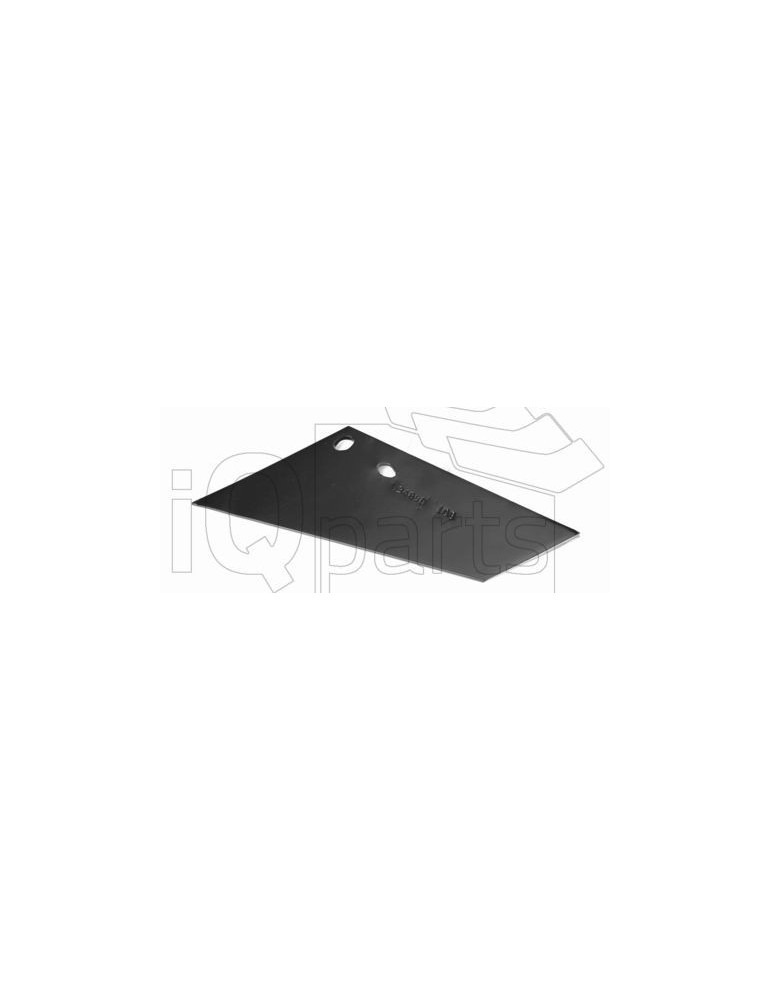 Winged share 3490G 