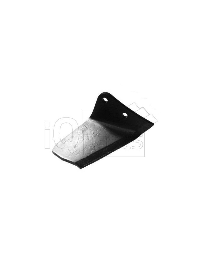 Winged share 447150 