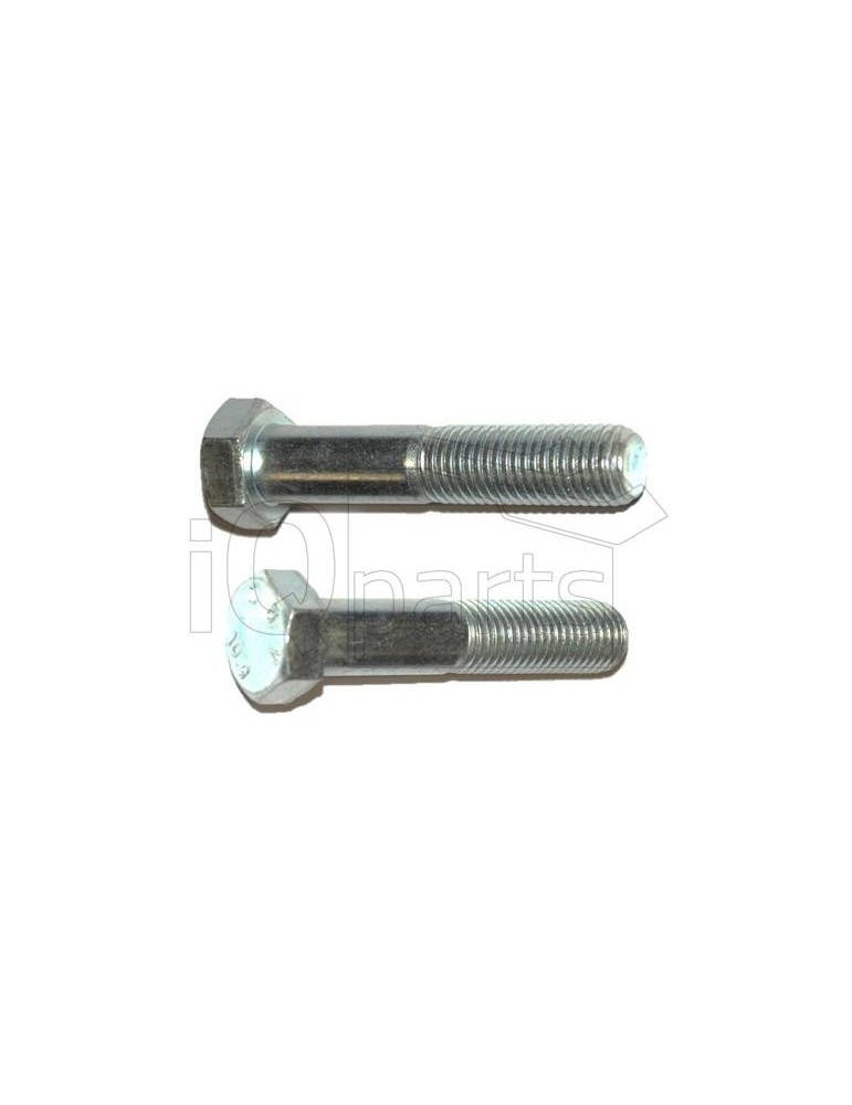 Screw K-20100 M20X100 10.9 VZ DIN 931 O.M