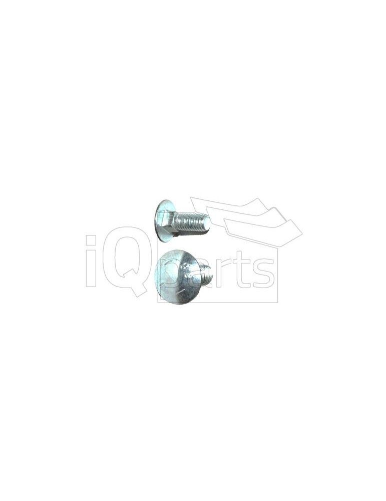 Screw P-1025 M10X25 8.8 VZ DIN 603 O.M