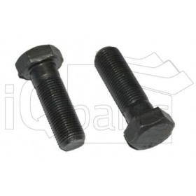 Screw SKT-SCHRAUBE M16X1,5X50 10.9
