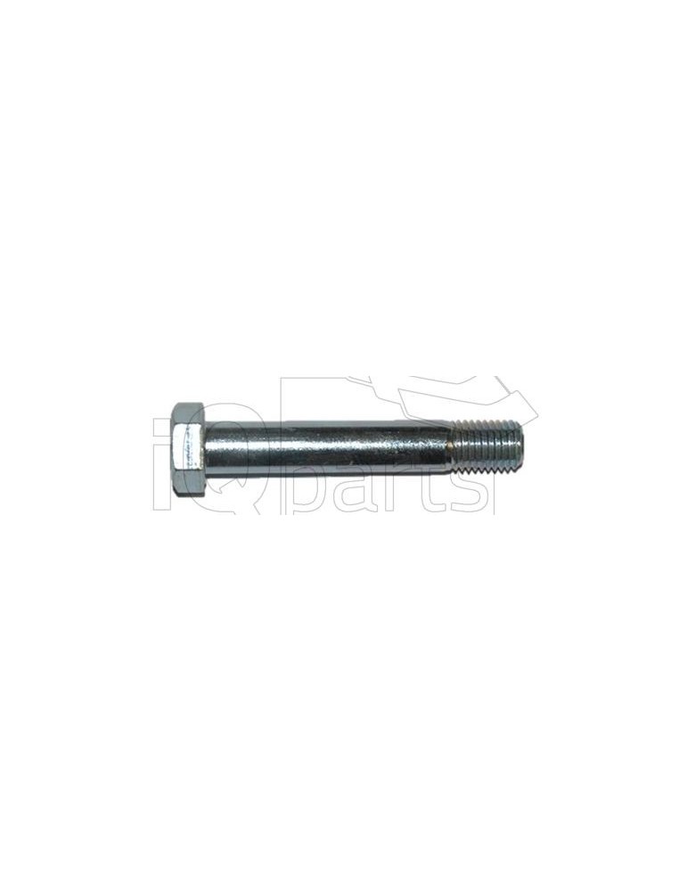 Screw SKT-SCHRAUBE M20X120-10.9  PG561009