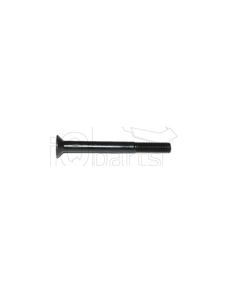 Screw Y-12120 M12X90 10.9 DIN 7991 O.M