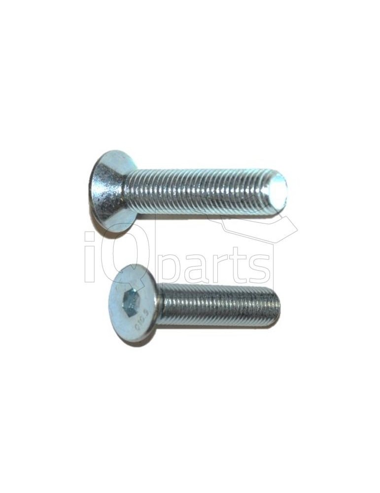 Screw Y-1670 M16X70 10.9 VZ DIN 7991 O.M