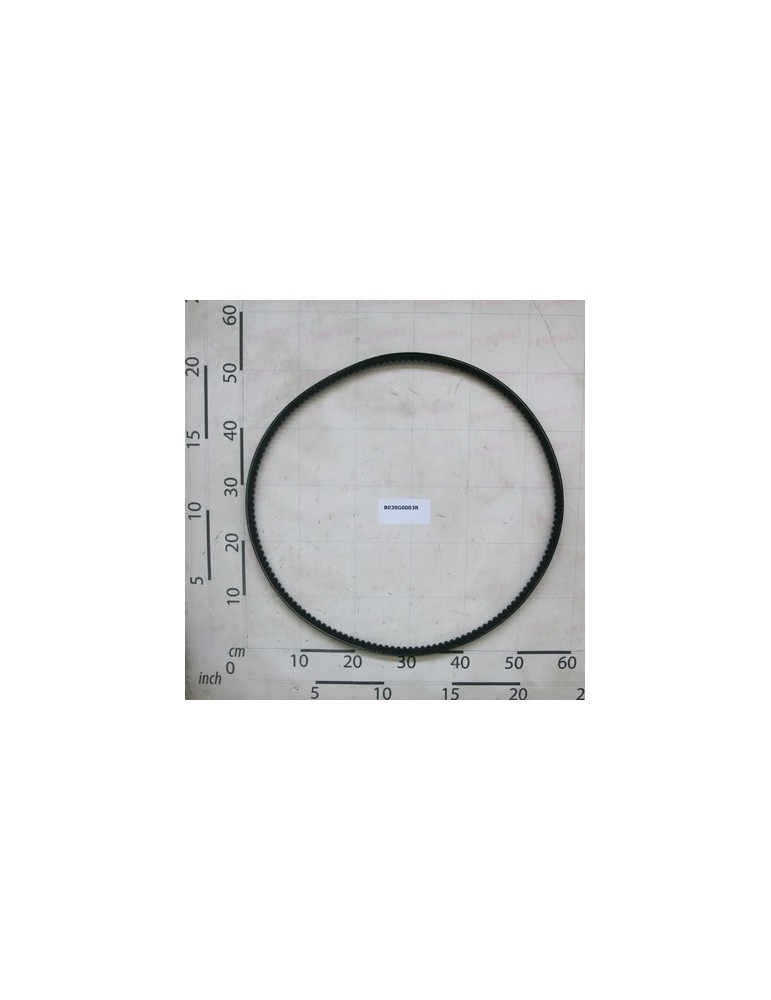 BELT