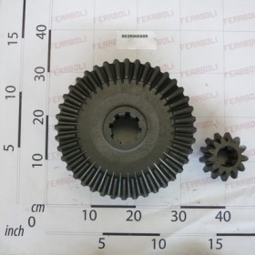 GEAR