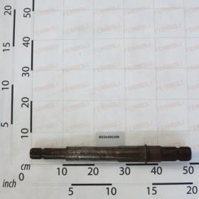 ENTRY SHAFT