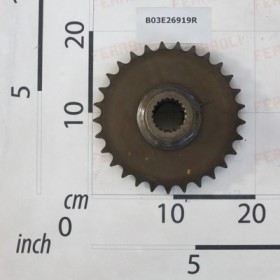 GEAR Z.29
