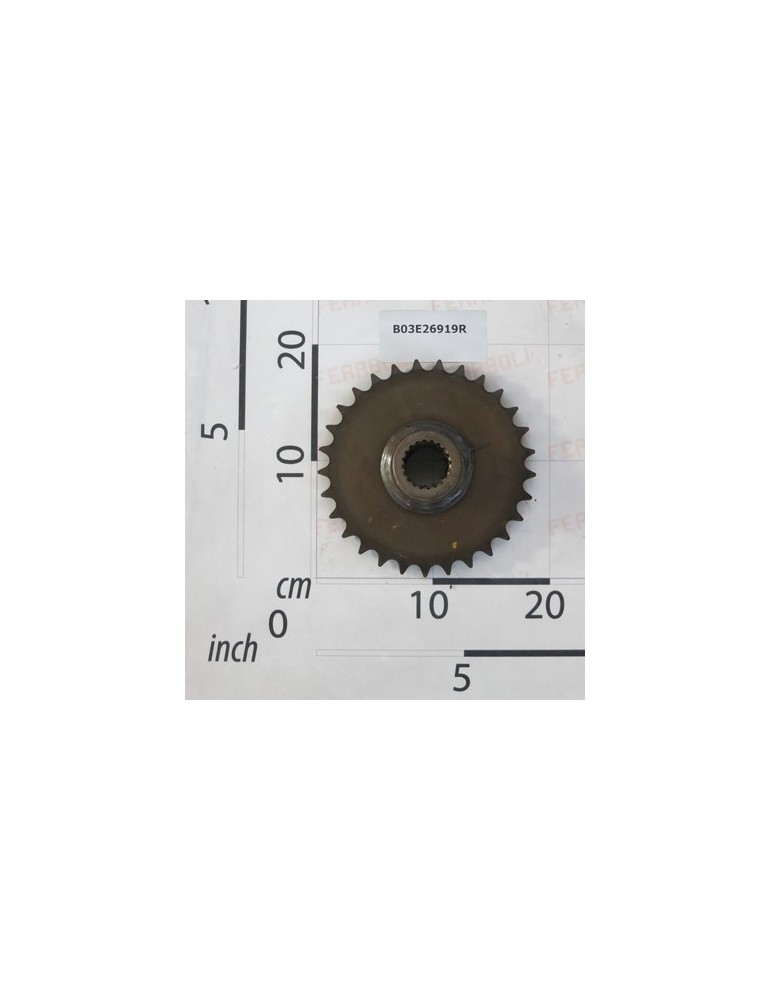 GEAR Z.29