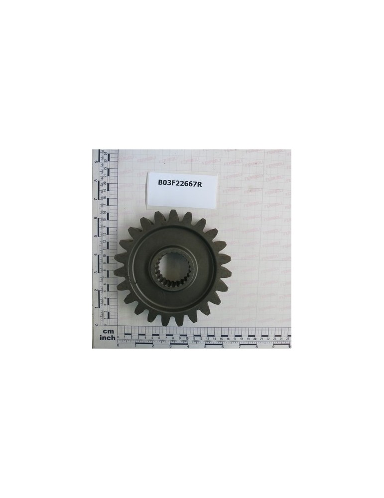Z-23 M-6 GEAR