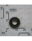 GEAR