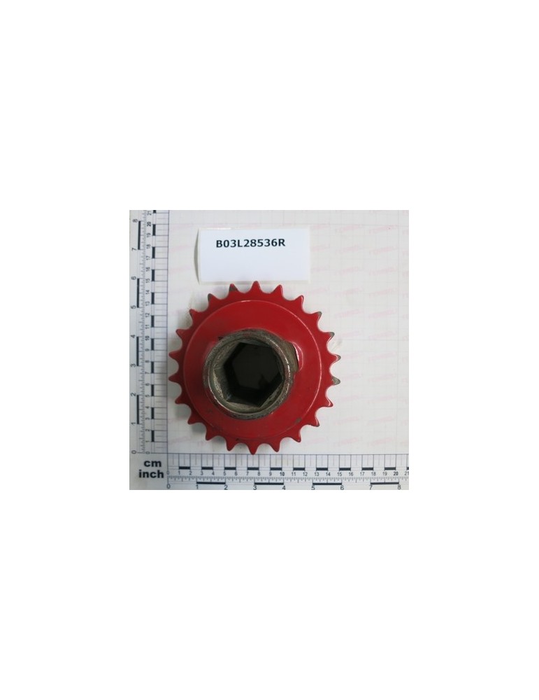 GEAR -22-3/4\"