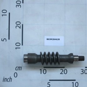 SCREW