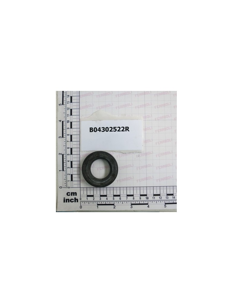 SEAL 30X52X10
