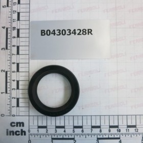 ANELLO TENUTA 40X 55X10 NORMA.