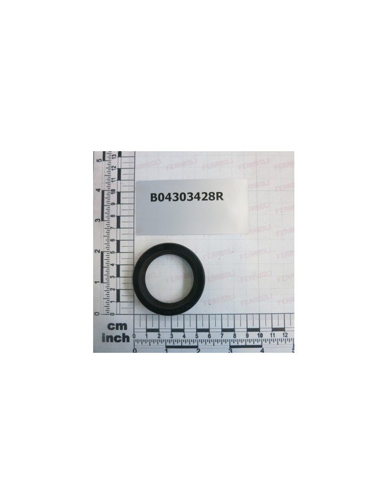 ANELLO TENUTA 40X 55X10 NORMA.