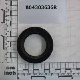 SEAL