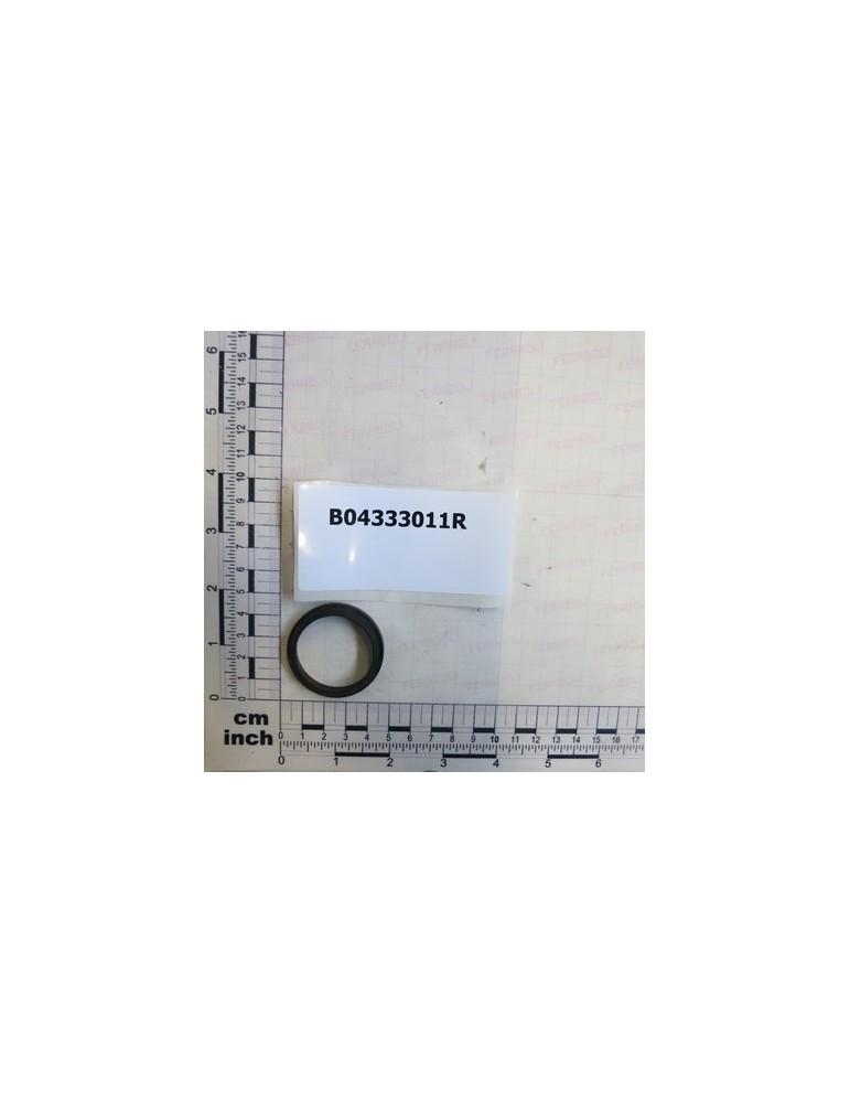 SCRAPER RING WRM 137169
