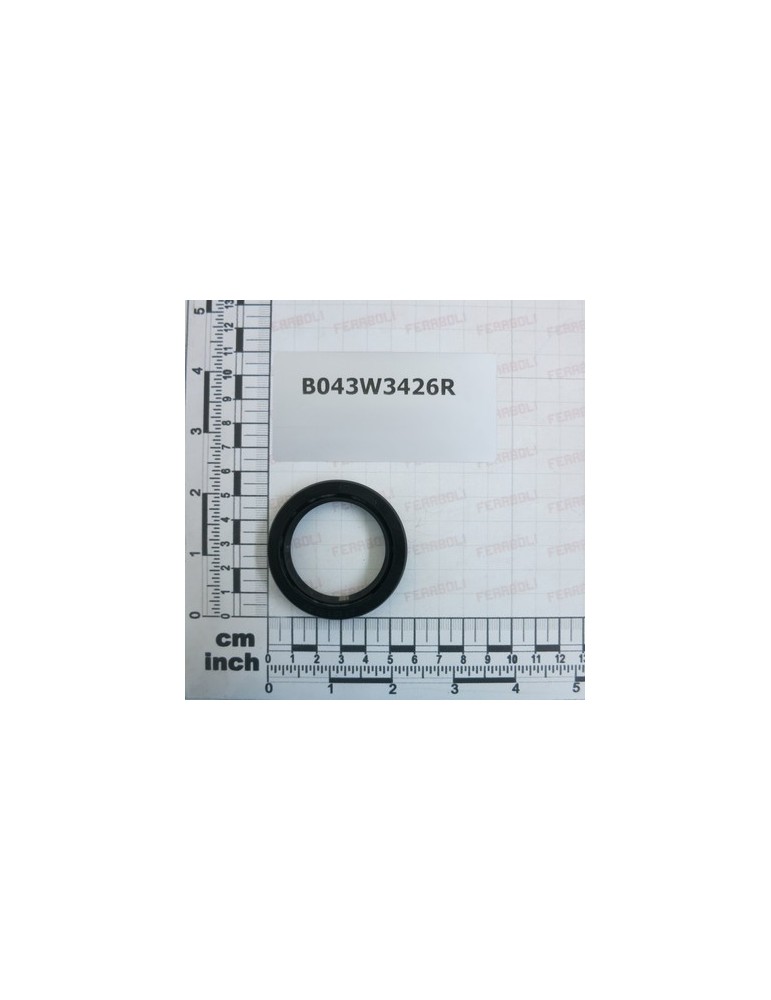 SEAL RING WDR AS 40-55-07