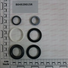 SEALS (H127001)