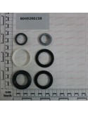 SEALS (H127001)