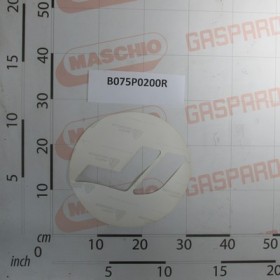 LABEL \"WHITE BUTTON\"
