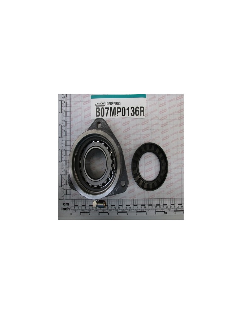 MOUNT SUPPORT MOTORE ROLL G