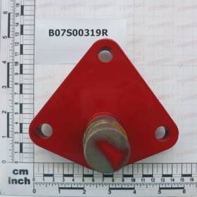 CONTROL PIN