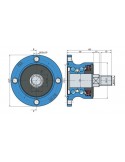 FKL Rulment IL2-117-M22-D
