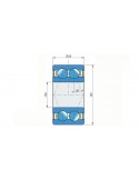 FKL Rulment 3206 B.2RS1