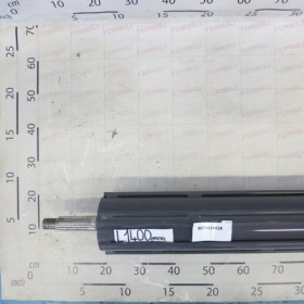 RIBBED ROLLER TROTTER