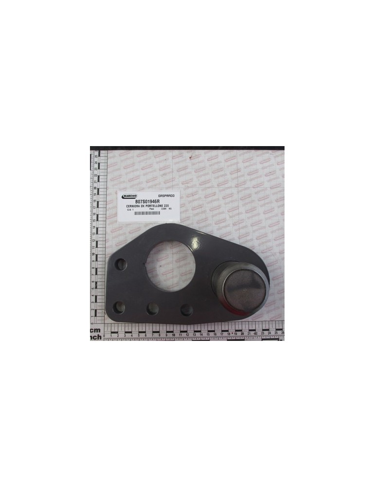 RIGHT PIVOT TAILGATE 220