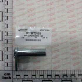 PIN FLANGETO Ã 20