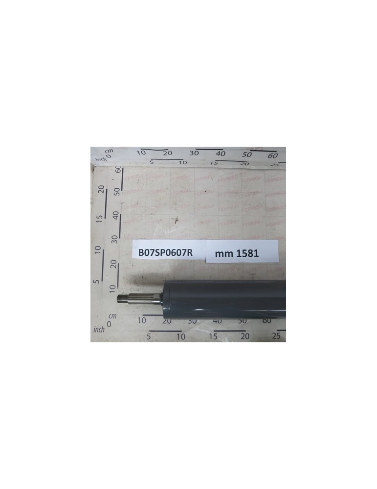 ROLL MOTORE DOPPIO 365
