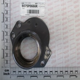 SUPPORT ROLL PULITORE