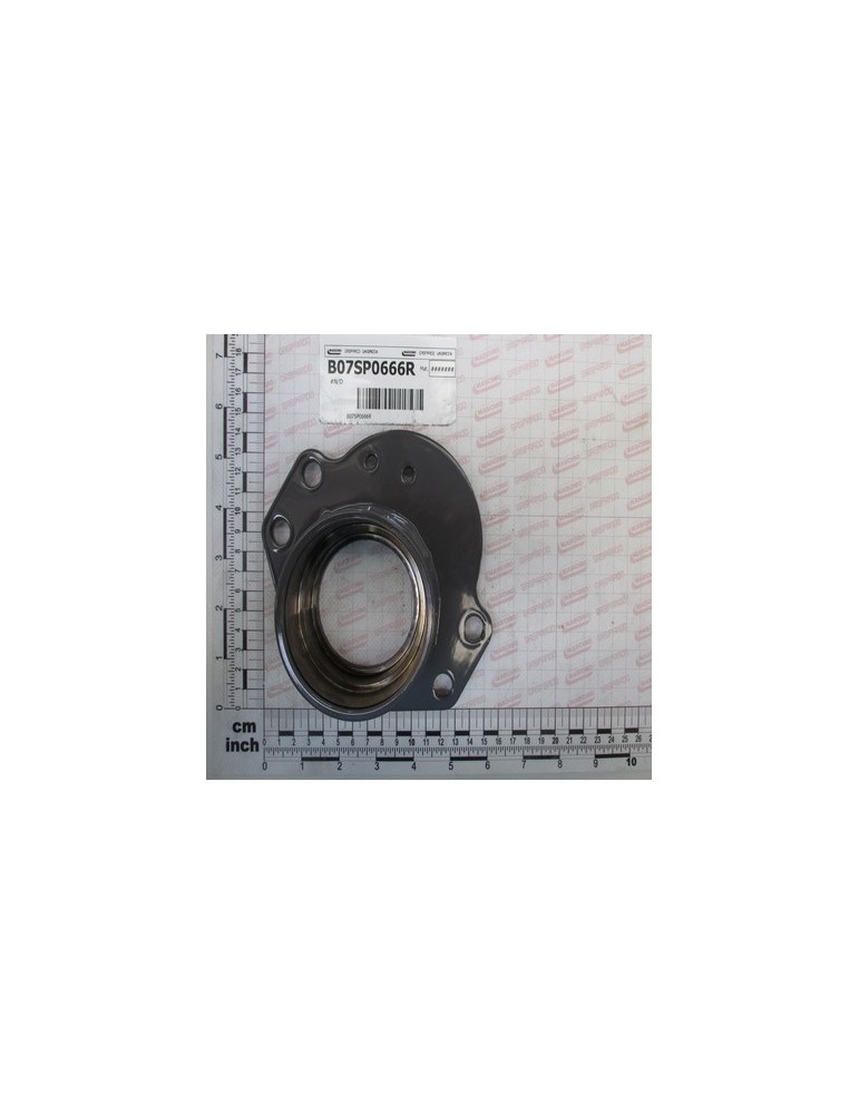 SUPPORT ROLL PULITORE