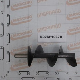 RIGHT COCHLEA PU 365 HTI