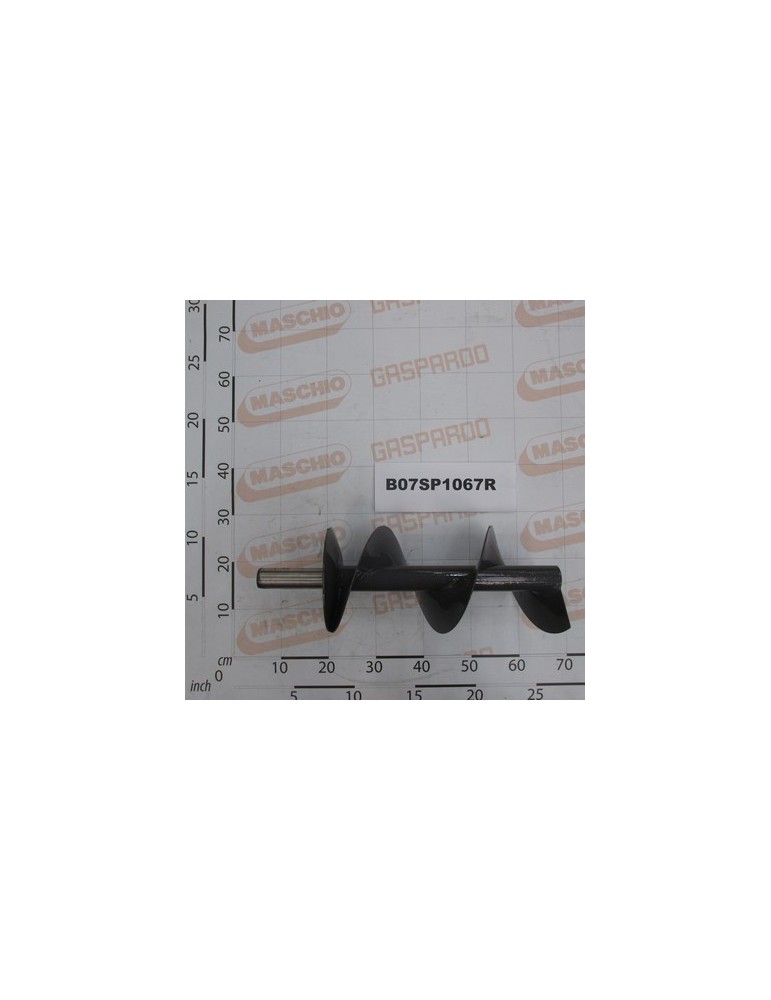 RIGHT COCHLEA PU 365 HTI
