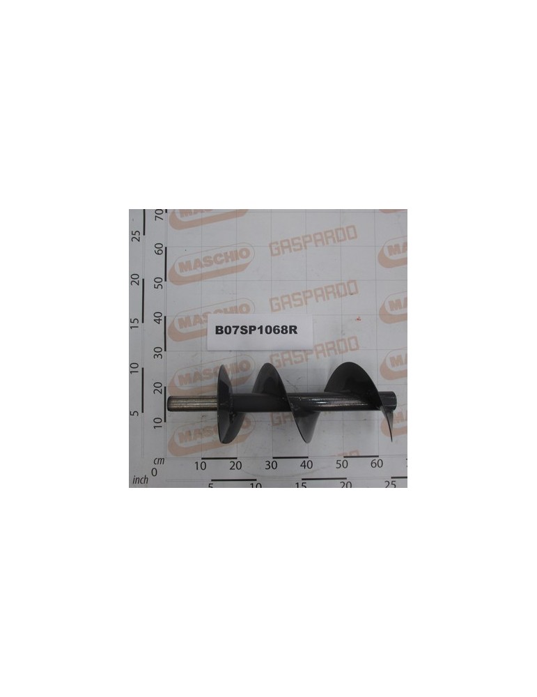LEFT COCHLEA PU 365 HTI
