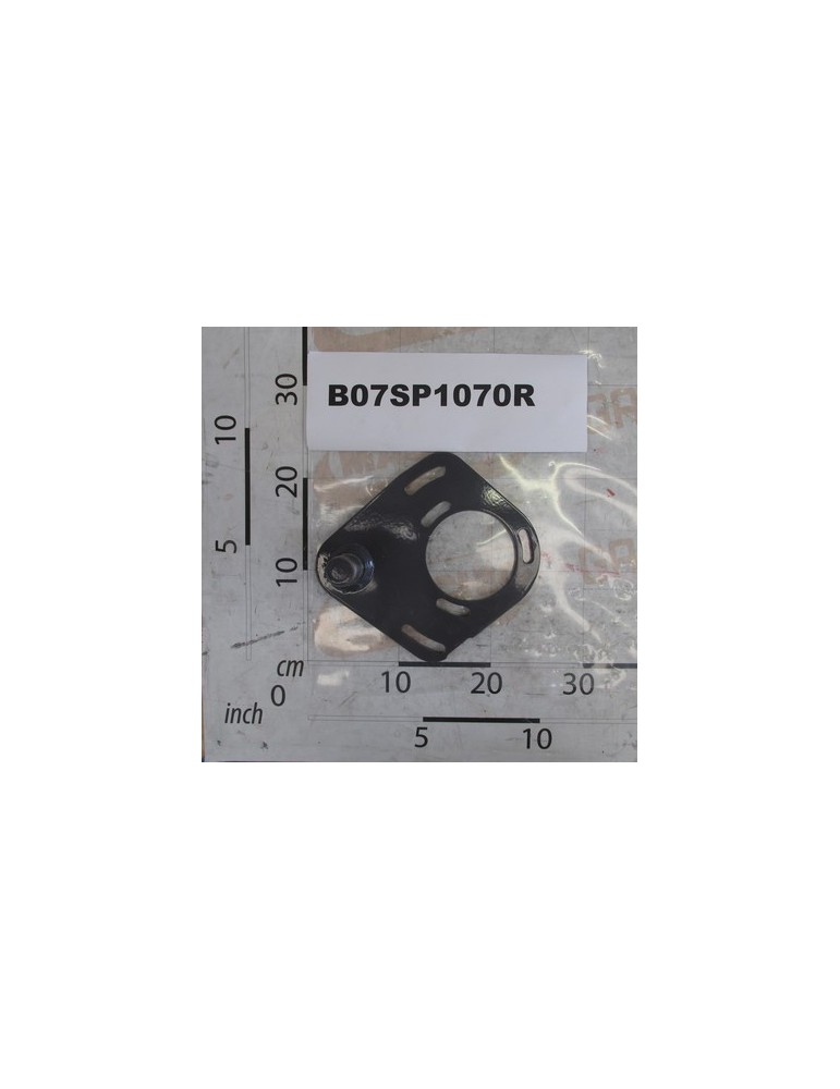 PLATE WITH TENSIONER