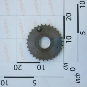 FREEWHEEL