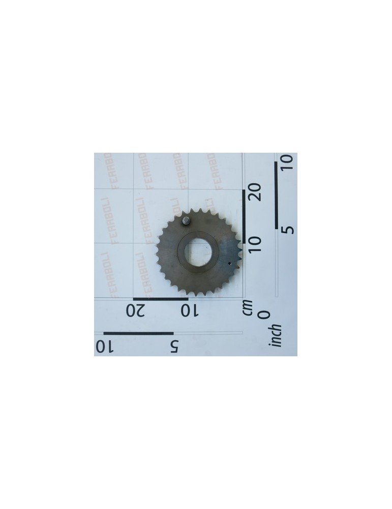 FREEWHEEL