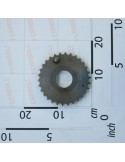 FREEWHEEL