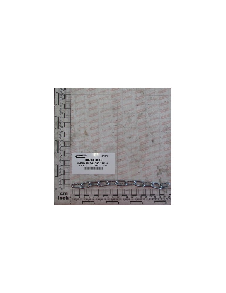 GENOVESE CHAIN NÃ17