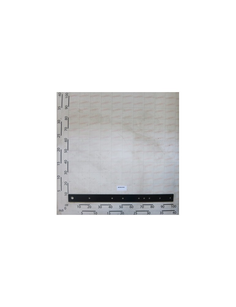 EXTERNAL PLATE
