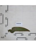 SCRAPING ELEMENT