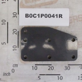 HINGE ANTERERIORE